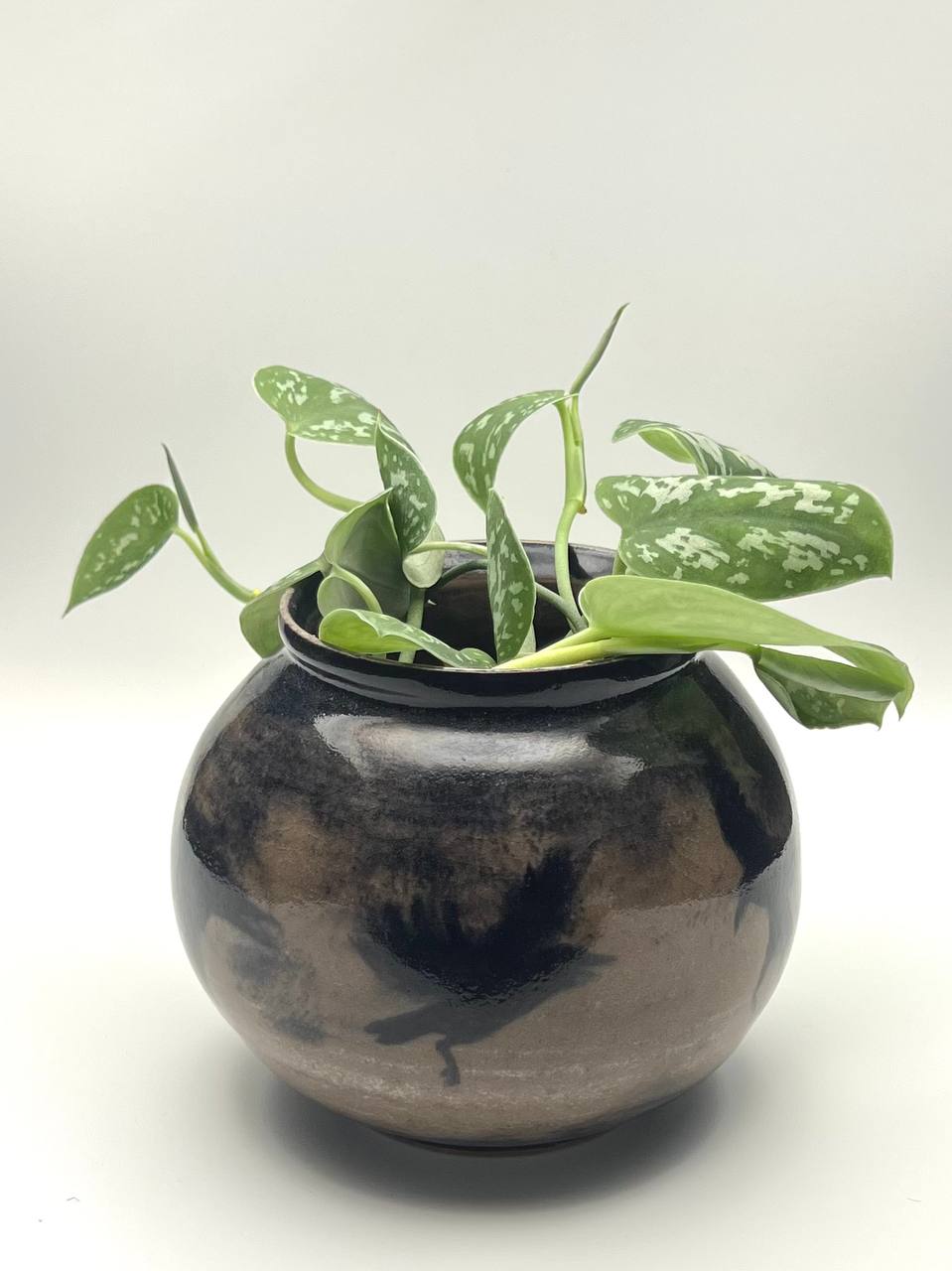 Vase with Three Blackbirds